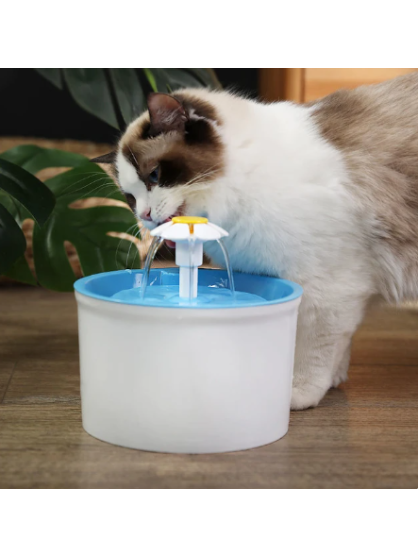 Fuente de agua para gatos y perros dinamico,circulacíon automatica