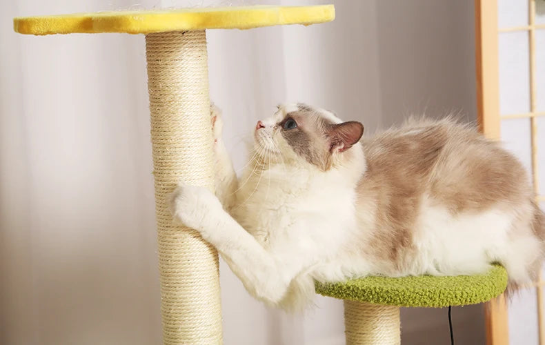 Casa para mascotas, marco de escalada para gatos, plataforma multicapa, garras de molienda de Sisal, cómodo Marco de escalada para gatos