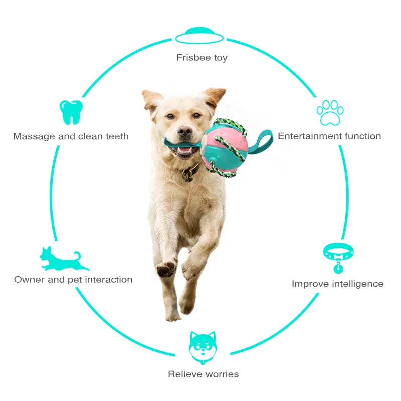 Pelota De Fútbol De Juguete para Perros Diseño Interactivo 2 en 1 Para Masticar